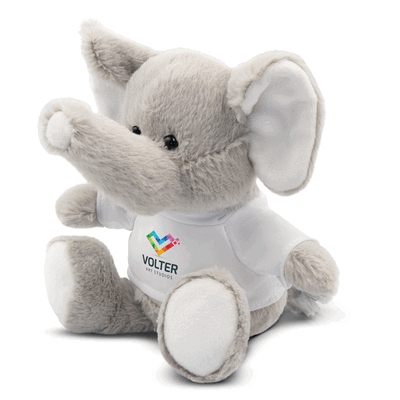 Éléphant | Samson